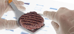 hamburguesa